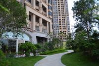 天湖御林湾一期园林实景图