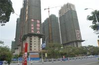 华一·红树林 实景图