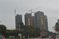 华一·红树林 实景图