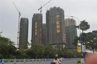 华一·红树林 实景图