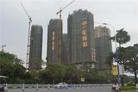 华一·红树林 实景图