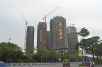 华一·红树林 实景图