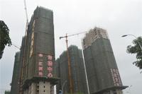 华一·红树林 实景图