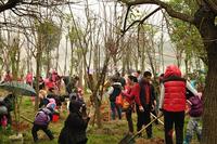 中海·御湖熙岸植树活动（2014.03.15）