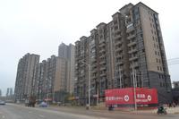 凤岭名筑·香语郡实景图(2014.3.5)