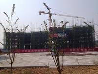 恒丰香山华府 实景图