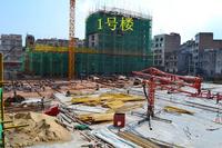 1号楼和中庭花园实景图