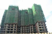 南地海江南 实景图