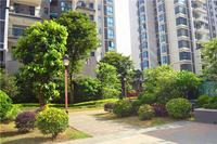 南地海江南 实景图