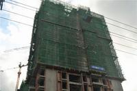 南地海江南 实景图