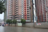 江滨花园实景图2014.02.25