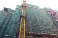 2014.1.14二期实景图