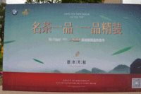 名茶品鉴活动现场