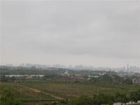 梦唤滨海·创意园 实景图