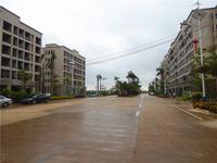 梦唤滨海·创意园 实景图