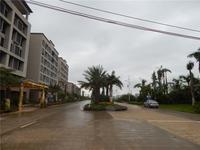 梦唤滨海·创意园 实景图