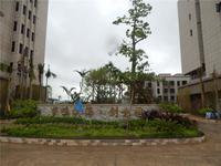 梦唤滨海·创意园 实景图