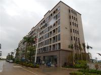 梦唤滨海·创意园 实景图