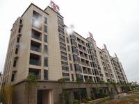 梦唤滨海·创意园 实景图