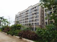 梦唤滨海·创意园 实景图