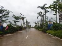 梦唤滨海·创意园 实景图