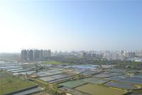 和居·壹海江山 实景图