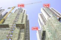 1-3#楼开始落外架