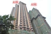 A1/A2栋施工进度图