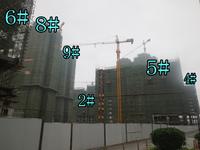 项目施工进度图实景图2