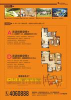 8折利率海报宣传页背面