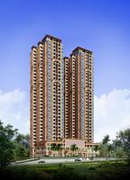 正面透视效果图