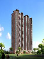 背面透视效果图