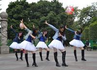 鑫星·壹环里 1.29美女巡游活动图片