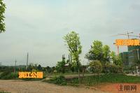 项目在滨江公园旁