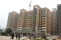 富贵家园最新进展