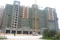 富贵家园最新进展