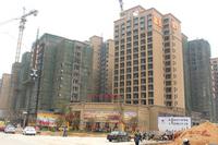 富贵家园最新进展