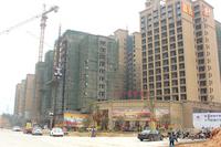 富贵家园最新进展