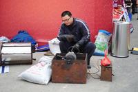 华润凯旋门土特产、车展现场