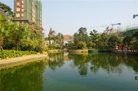 12月30日恒大翡翠龙庭园林