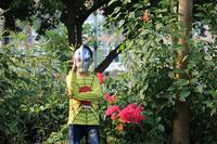 幸运砸金蛋，快乐赢大奖