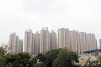 项目整体感完全呈现