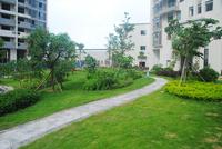 中旭东方韵园林实景