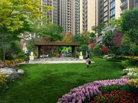 晨练广场效果图