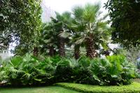 恒大翡翠龙庭实景