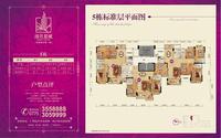 5栋样板户型图