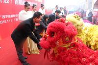 2015.1.11营销中心开放