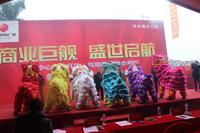 2015.1.11营销中心开放