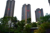 在售楼栋实景图