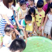 小朋友现场化身捕鱼小达人